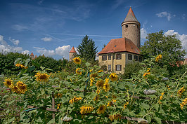 Bernhard Saalfeld - Sonnenblumen vor der Stadt